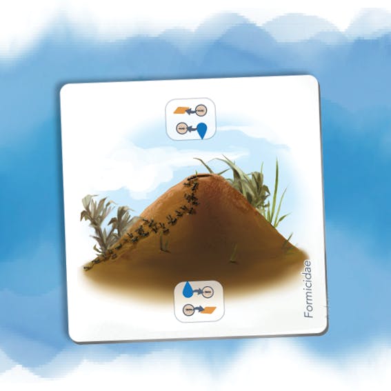 Anthill Promo Tile