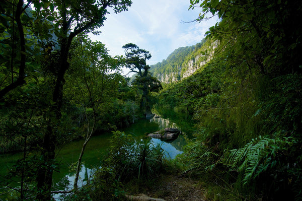 The Totally unofficial Paparoa Track Gear Guide