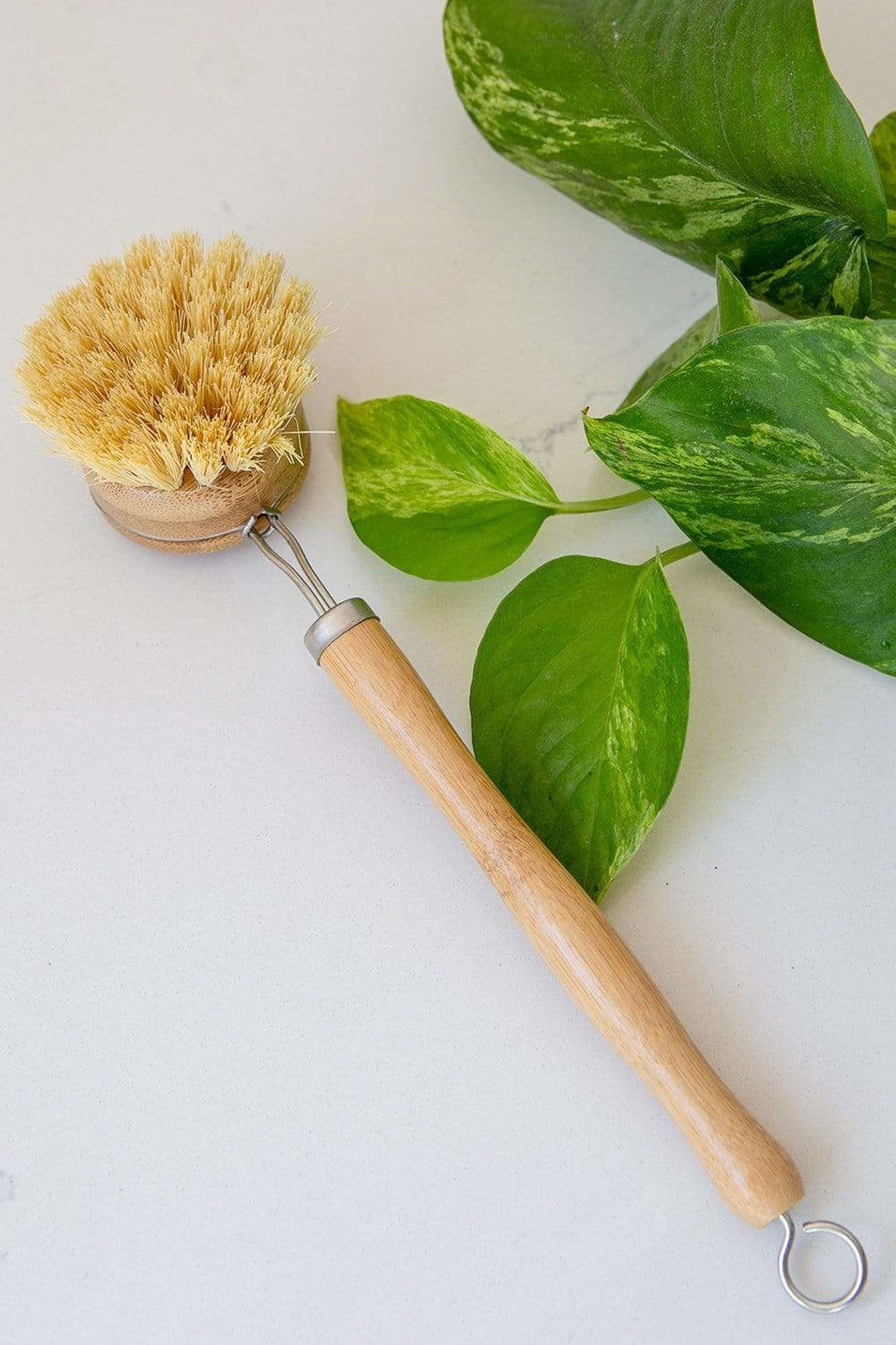 No Tox Life Casa Agave™ Dishwashing & Vegetable Hand Brush - Olive