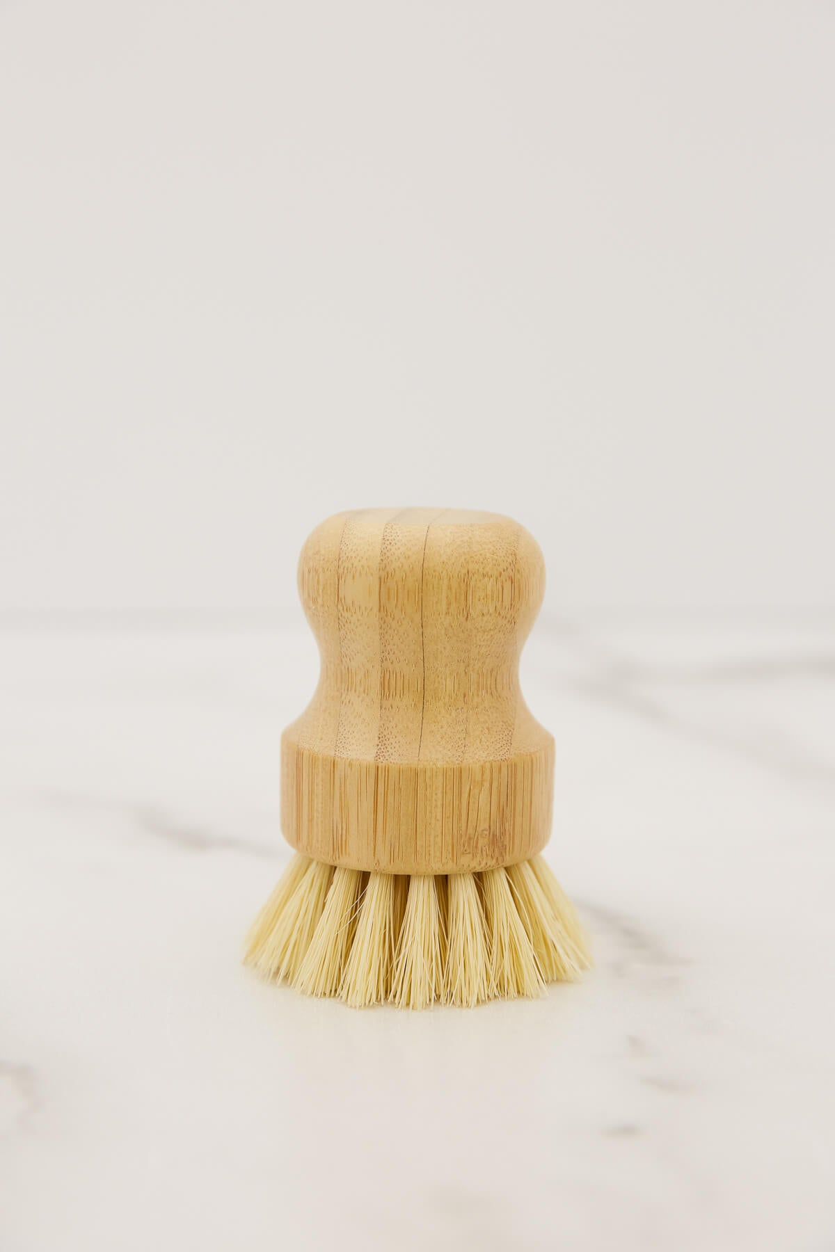 Casa Agave™ Pot Scrubber