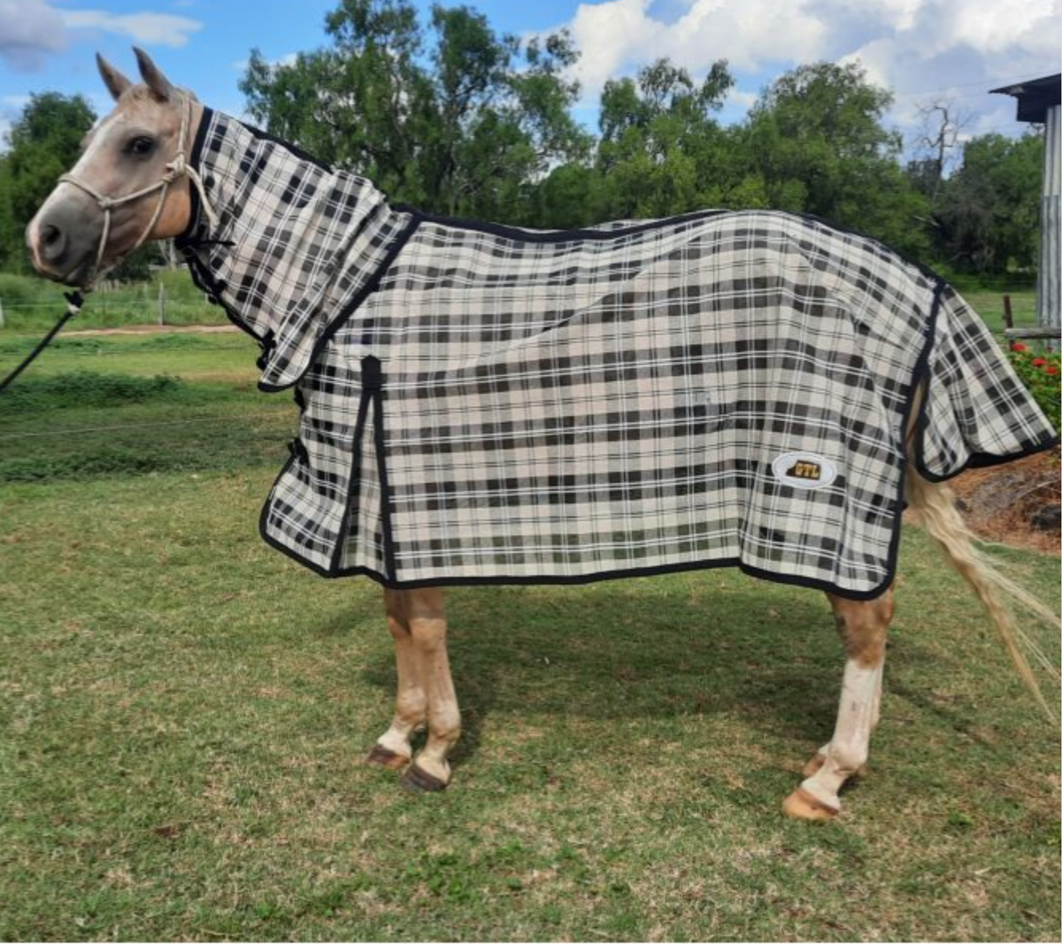 Horse rugs Clearance sale 50 Off Horse Rugs Prohorse — ProHorse