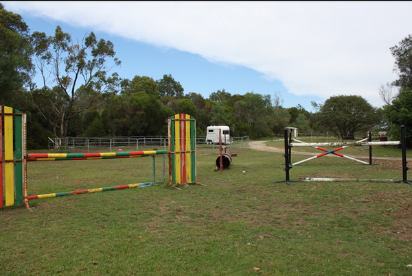 horse-agistment-sydney