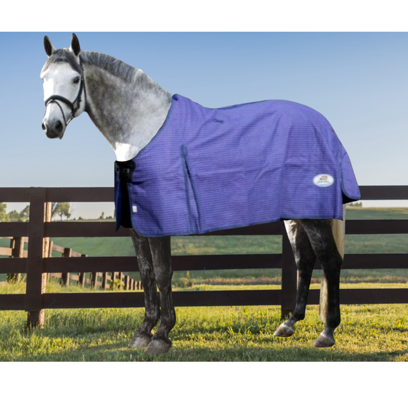 Canvas Horse Rugs For Sale at Rubin Rogers blog