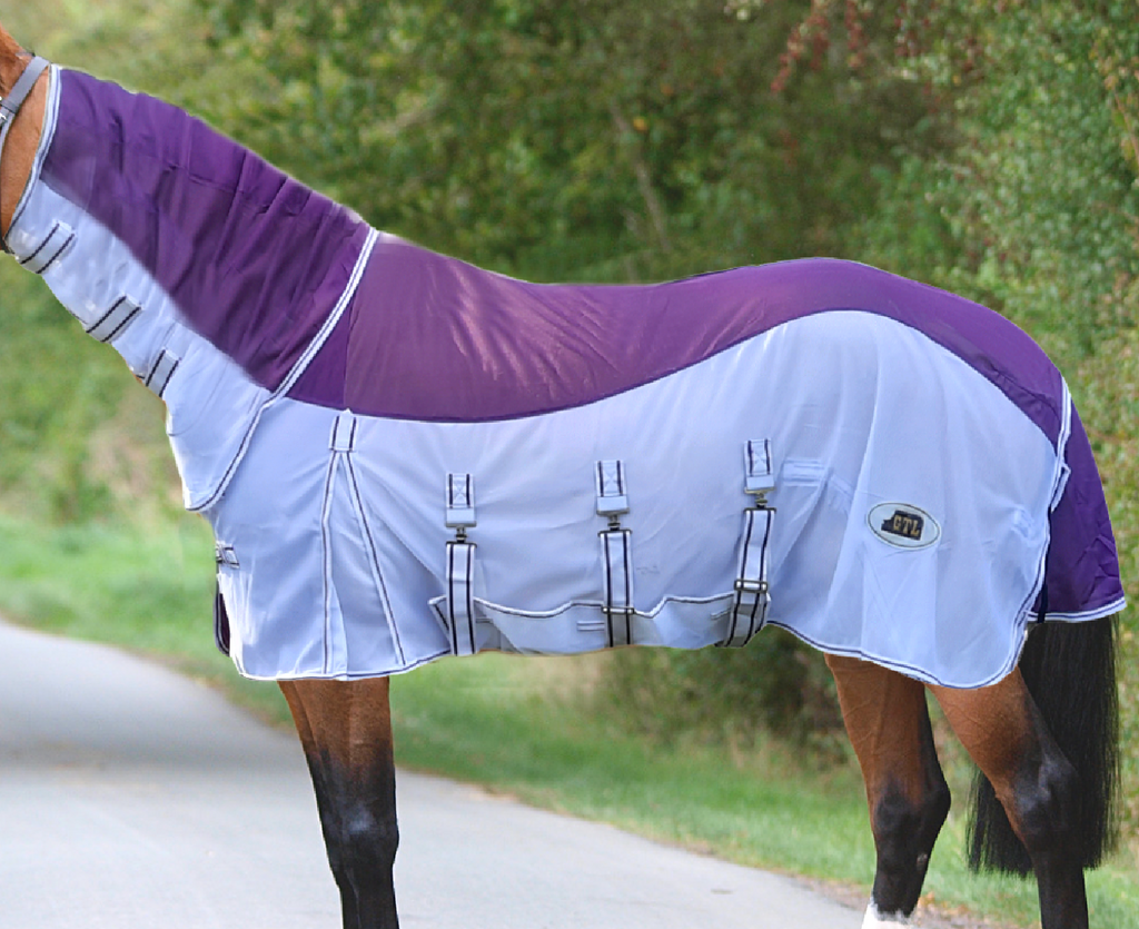 purple horse fly sheets