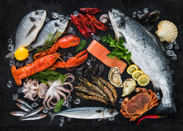 Evergreen Seafood Singapore Supplier (Live, Fresh and Frozen Seafood)