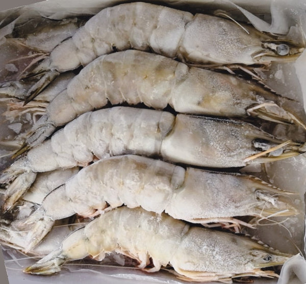 Buy Prawn Wild Catch for Online Delivery | Evergreen Seafood Singapore