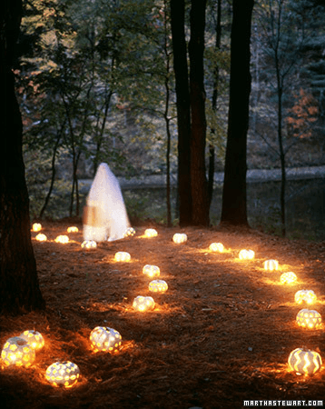 Martha2BStewart2BPumpkin2Bwalkway A trail of small lit pumpkins in the wood, and a ghost in the distance