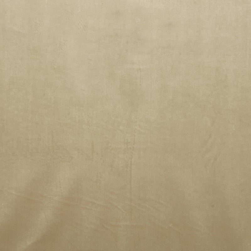 Oyster Glamour Velvet Fabric | Terrys