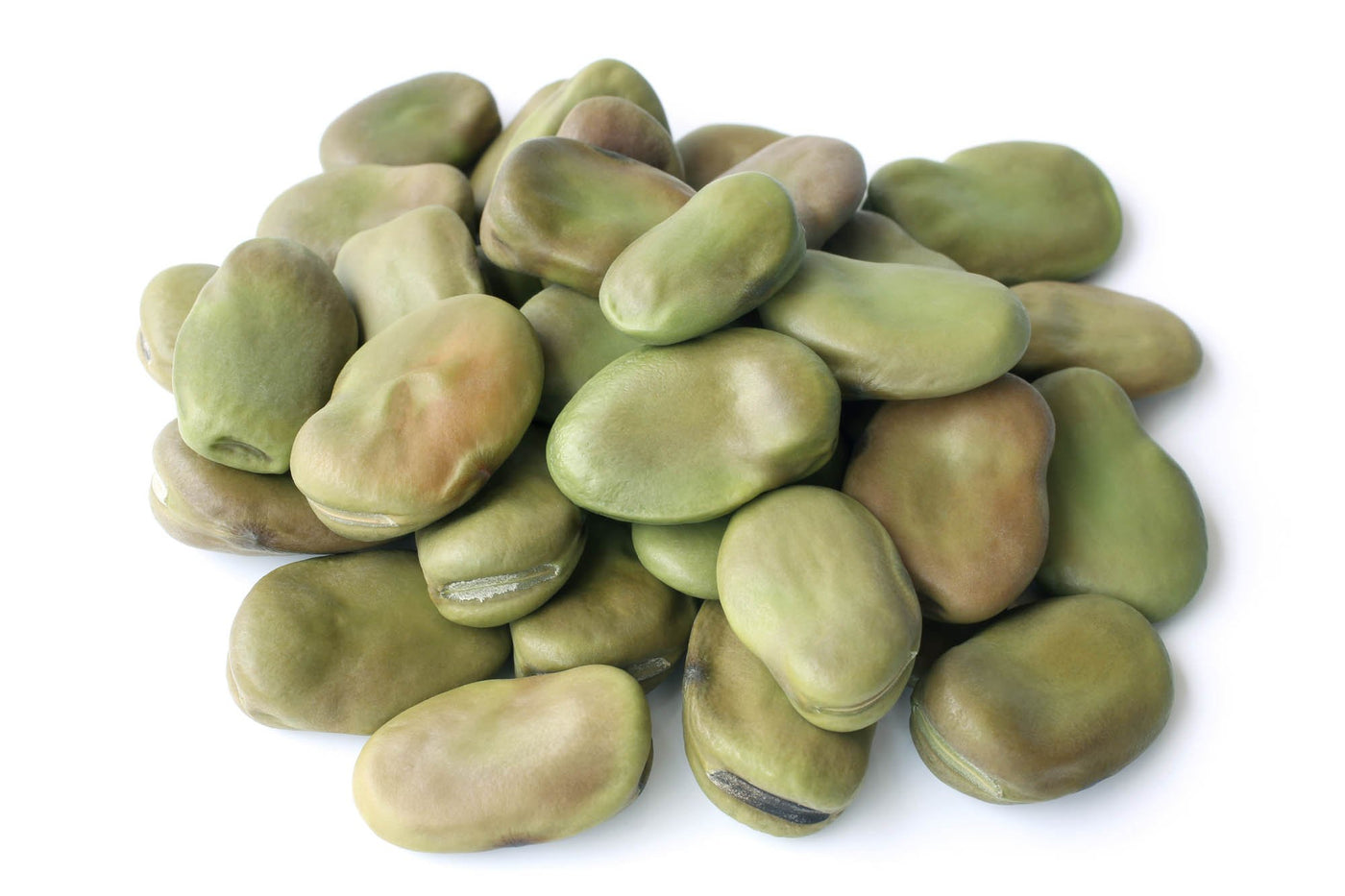 Fava Beans Dry Large Peeled: 16oz – Pacific Gourmet