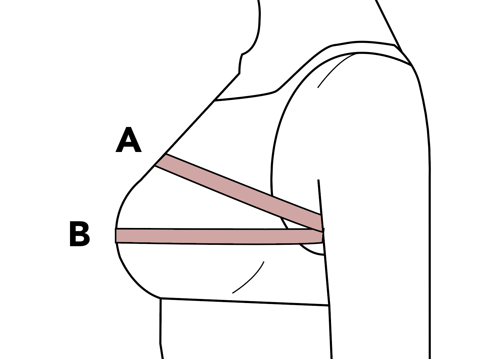 PDF) Differences in Chest Measurements between the Cis-female and