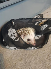 hedgehog goth