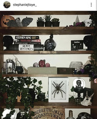 oddities-shelf