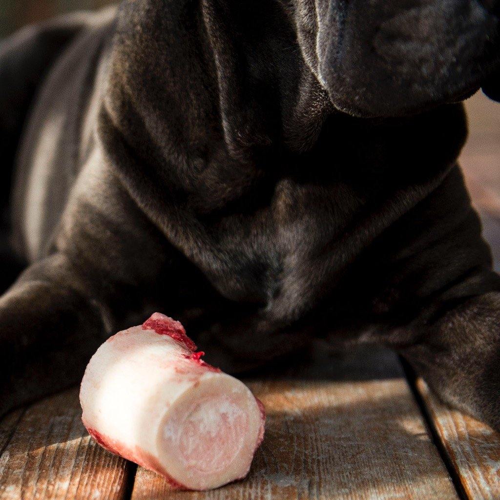 are bison bones safe for dogs