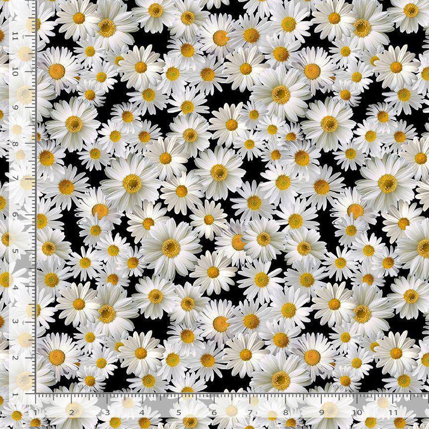 Advice From A Sunflower Black Blooming Packed Daisies Fabric-Timeless Treasures-My Favorite Quilt Store