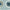 Beach House Multi Marine Compass 108" Wide Back