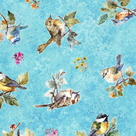 Birdsong Aqua Bird Toss Fabric-QT Fabrics-My Favorite Quilt Store