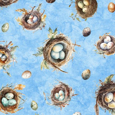 Birdsong Blue Nests and Eggs Fabric-QT Fabrics-My Favorite Quilt Store