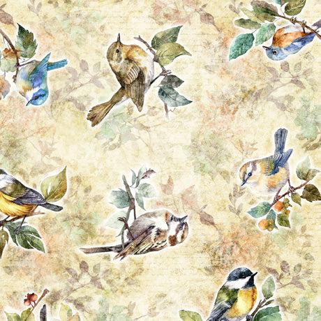 Birdsong Tan Bird Toss Fabric-QT Fabrics-My Favorite Quilt Store