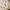 Carrot Patch Quilt Pattern-The Pattern Basket-My Favorite Quilt Store