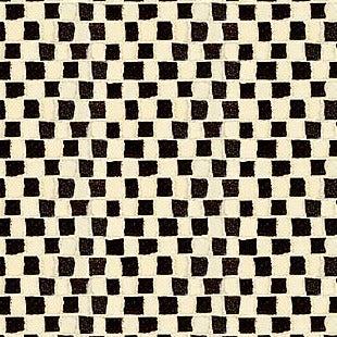 Charisma White and Black Check Fabric