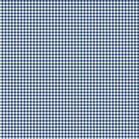 Classics White/Navy Mini Gingham Fabric