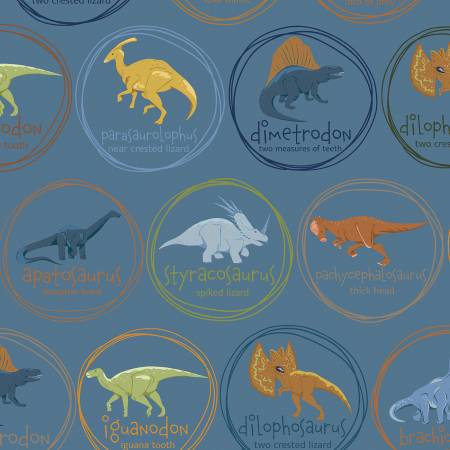 Cretaceous Denim Main Fabric-Riley Blake Fabrics-My Favorite Quilt Store