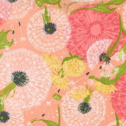 Dandi Duo Peach Dandelion Floral Fields Fabric by Robin Pickens - Moda  Fabrics