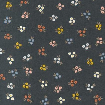 Dawn on the Prairie Charcoal Sweet Daisy Fabric