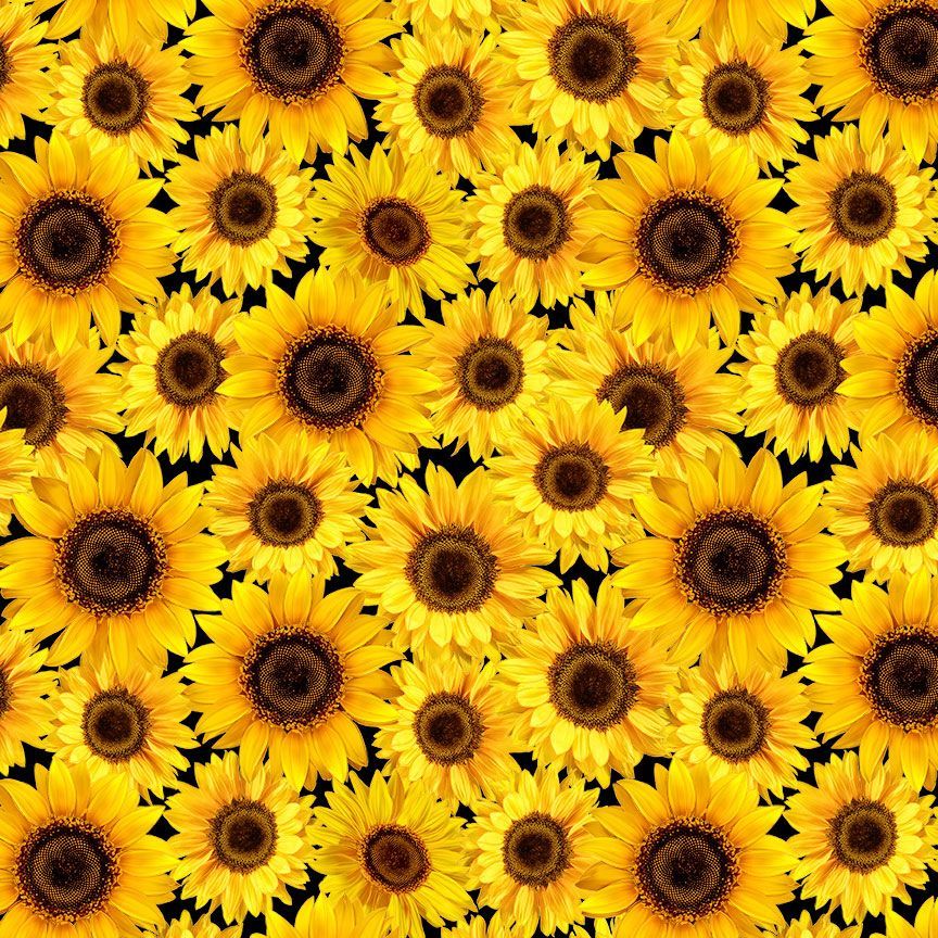 Fall Is In The Air Yellow Packed Sunflowers Fabric-Timeless Treasures-My Favorite Quilt Store