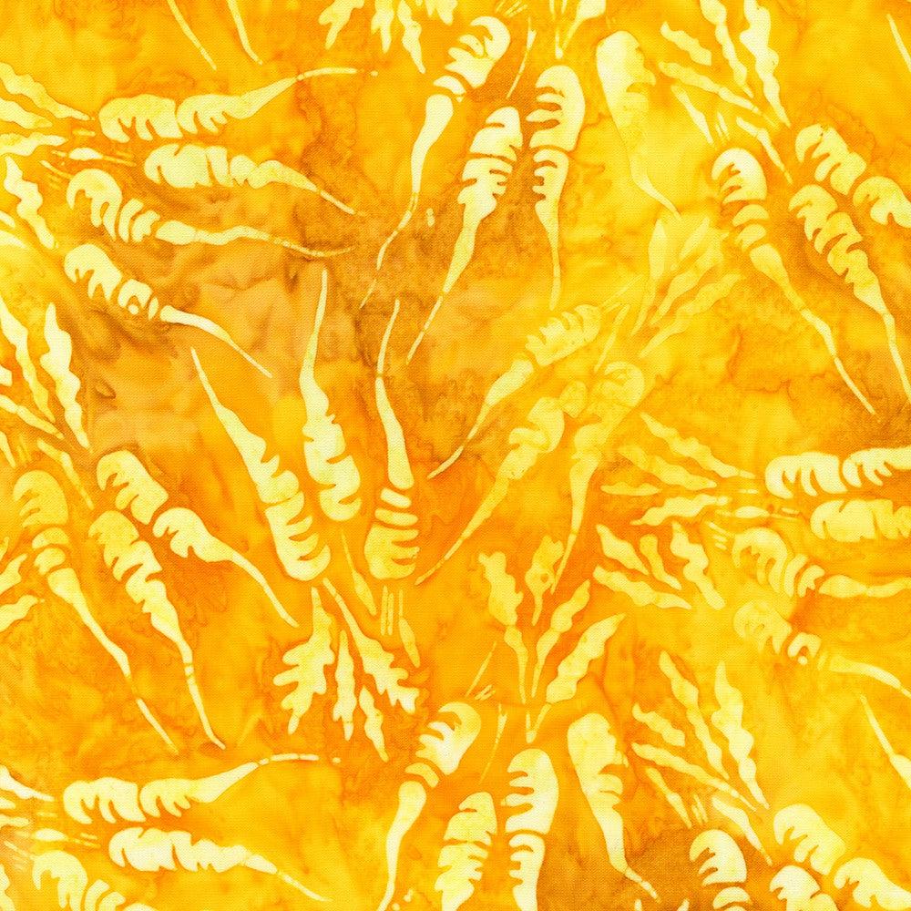 Farm Stand Sunkissed Carrots Batik Fabric – End of Bolt – 41″ × 44/45″-Robert Kaufman-My Favorite Quilt Store