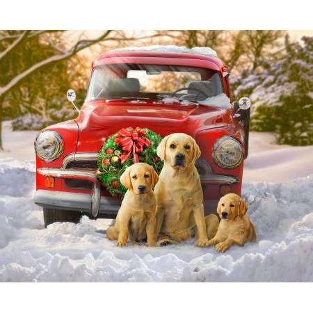 Golden Retriever Christmas Portrait Digital Print 36" Panel-Four Seasons by David Textiles-My Favorite Quilt Store