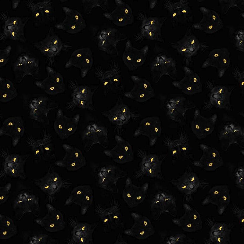 Hallow's Eve Black Cat Eyes Fabric-Northcott Fabrics-My Favorite Quilt Store