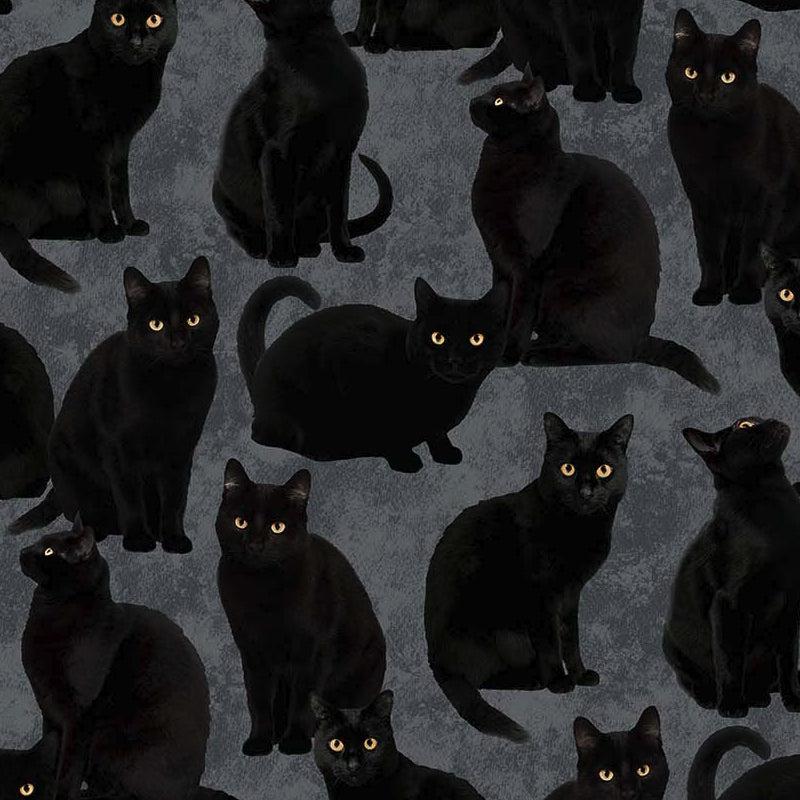Hallow's Eve Black Cats Fabric-Northcott Fabrics-My Favorite Quilt Store
