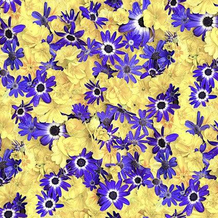 Hand Picked Forget Me Not Fields of Gold Floral Digital Fabric