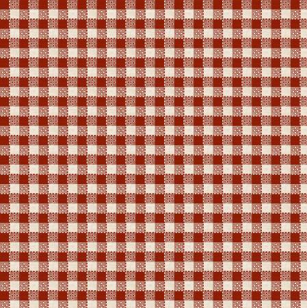 Happy Trails Red Buffalo Plaid Fabric