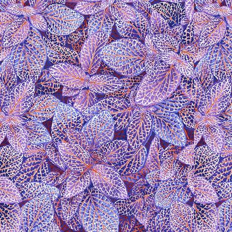 Kaffe Fassett Collective August 2024 Blue Fittonia Fabric