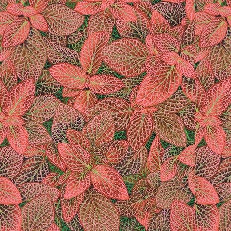 Kaffe Fassett Collective August 2024 Red Fittonia Fabric-Free Spirit Fabrics-My Favorite Quilt Store