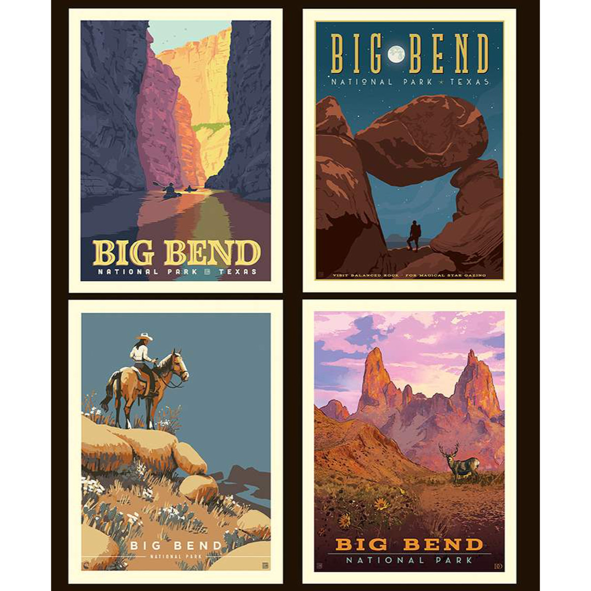 National Parks 2024 Big Bend Pillow Panel 36"