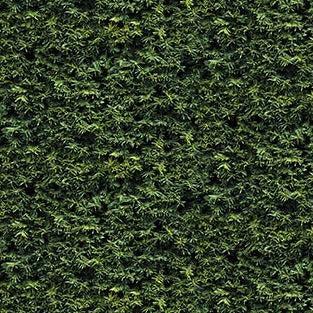 Naturescapes Dark Green Foliage Fabric