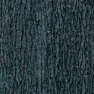 Naturescapes: Moonlight Kisses Ebony Tree Bark Fabric