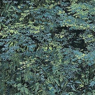 Naturescapes: Moonlight Kisses Green Tree Top Fabric