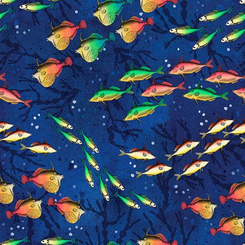 Ocean Menagerie Navy Schools of Fish Fabric-Blank Quilting Corporation-My Favorite Quilt Store