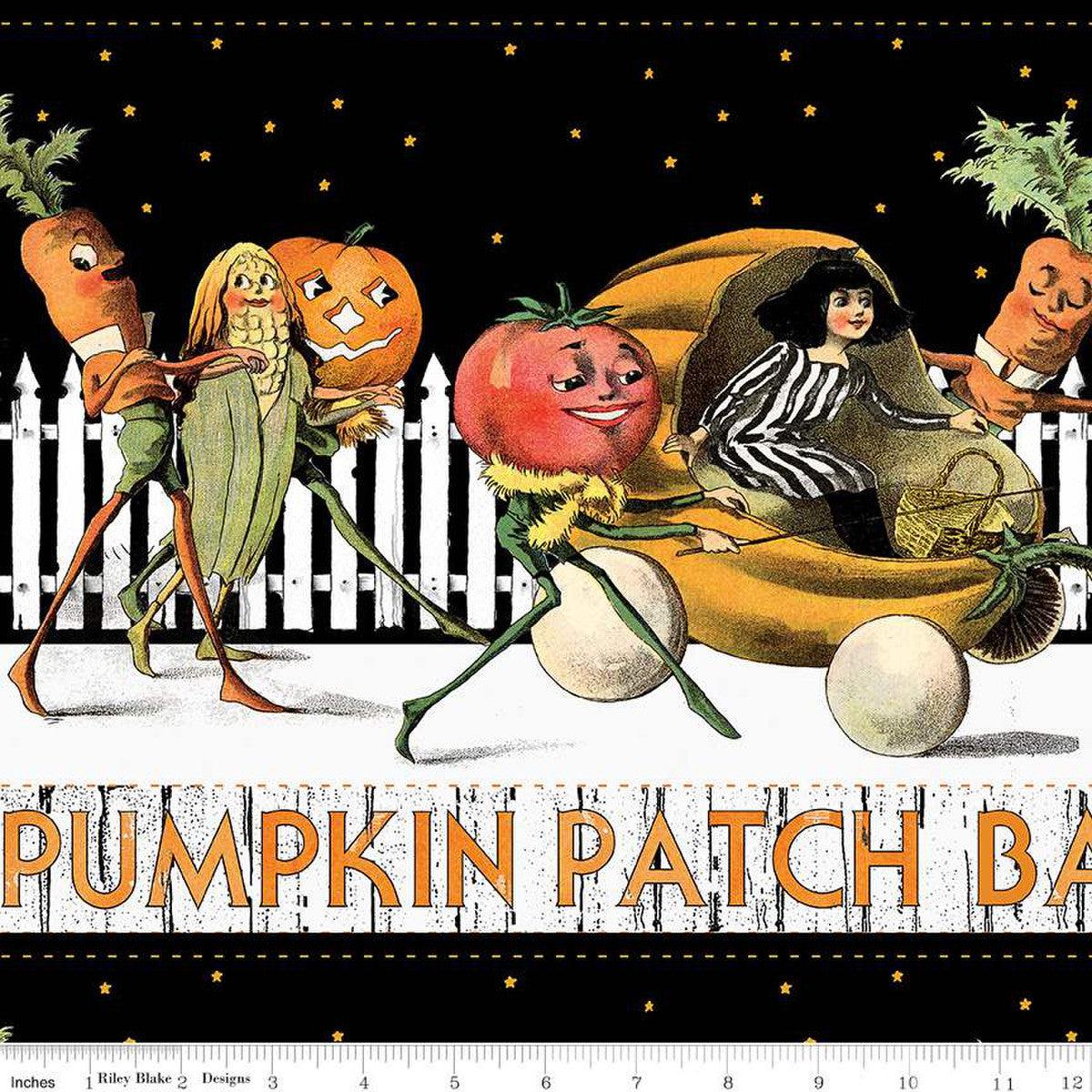 Pumpkin Patch White Barn Dance Border Stripe Digitally Printed Fabric-Riley Blake Fabrics-My Favorite Quilt Store