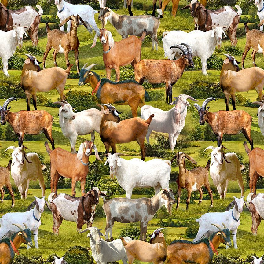 Rolling Hills Green Goats Fabric