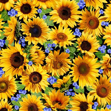 Summer Sunflowers Black Sunflower Meadow Fabric