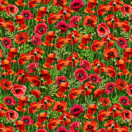 Summer Wildflowers Ruby Chatty Poppy Fabric