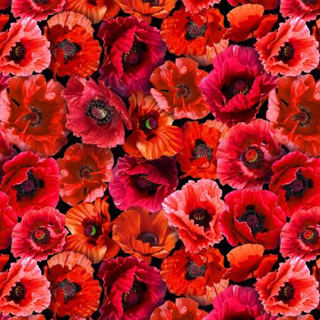 Summer Wildflowers Ruby Poppy Love Fabric-Michael Miller Fabrics-My Favorite Quilt Store