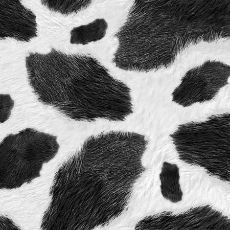 Cow Print Wallpaper - Wallpaper Sun  Cow wallpaper, Cow print wallpaper,  Cow print