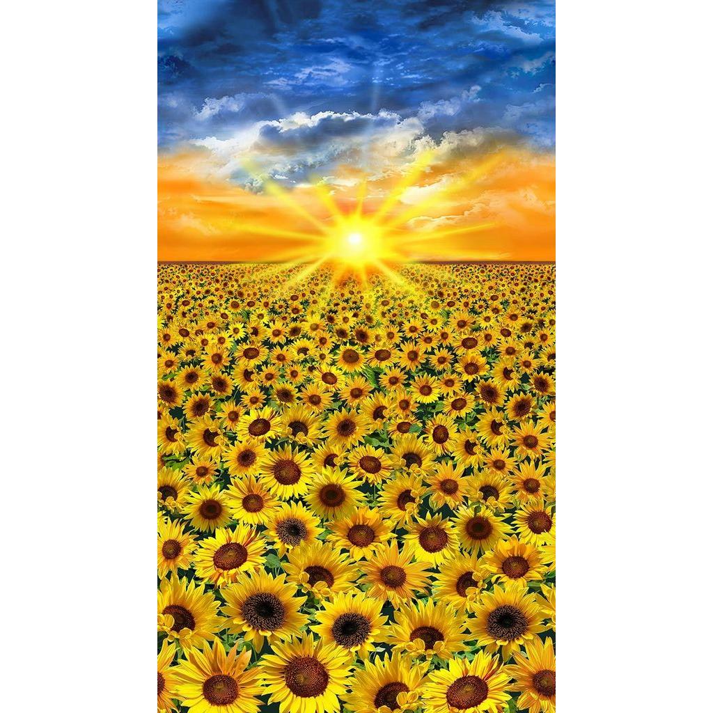 Sunflower Sunset Multi Sunflower 24" Panel