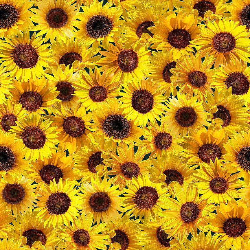 Sunflower Sunset Yellow Packed Sunflowers Fabric